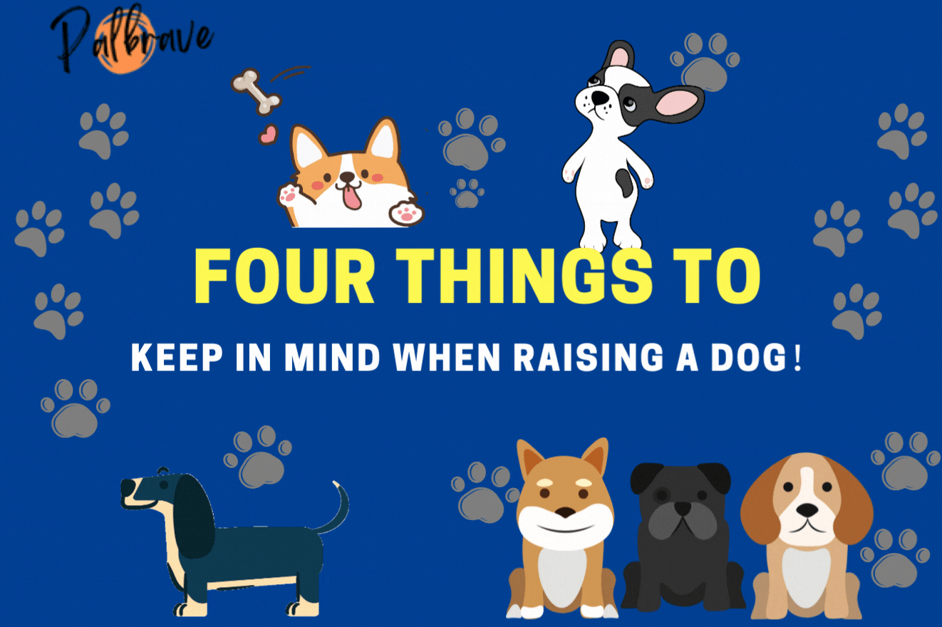 Four Things To Keep In Mind When Raising A Dog